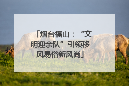 烟台福山：“文明迎亲队”引领移风易俗新风尚