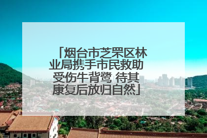 烟台市芝罘区林业局携手市民救助受伤牛背鹭 待其康复后放归自然