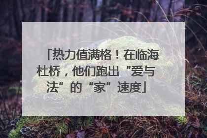 热力值满格！在临海杜桥，他们跑出“爱与法”的“家”速度