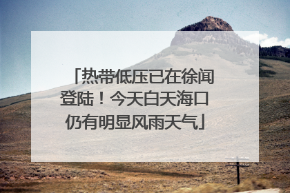 热带低压已在徐闻登陆！今天白天海口仍有明显风雨天气