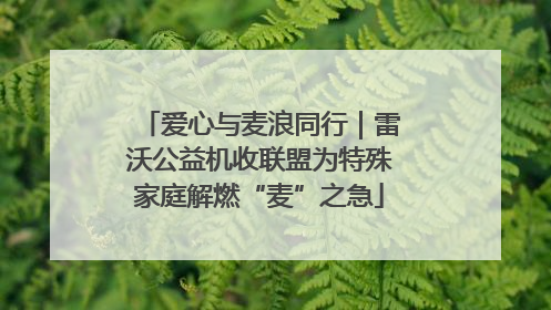 爱心与麦浪同行｜雷沃公益机收联盟为特殊家庭解燃“麦”之急