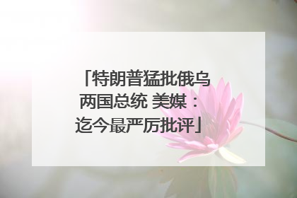 特朗普猛批俄乌两国总统 美媒：迄今最严厉批评