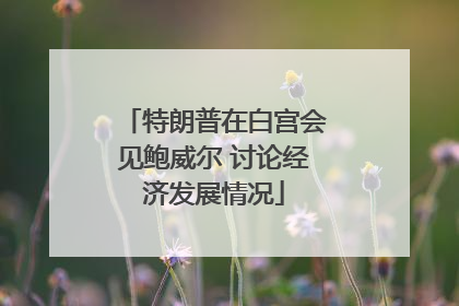 特朗普在白宫会见鲍威尔 讨论经济发展情况