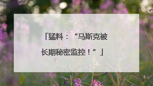 猛料：“马斯克被长期秘密监控！”