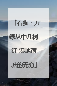石狮：万绿丛中几树红 湿地荷塘韵无穷