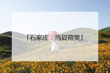石家庄：当夏荷美