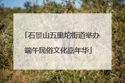 石景山五里坨街道举办端午民俗文化嘉年华