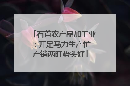 石首农产品加工业：开足马力生产忙 产销两旺势头好