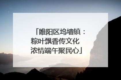 睢阳区坞墙镇：粽叶飘香传文化 浓情端午聚民心