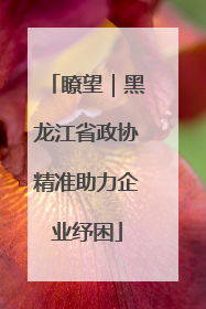 瞭望｜黑龙江省政协精准助力企业纾困