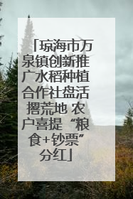 琼海市万泉镇创新推广水稻种植合作社盘活撂荒地 农户喜提“粮食+钞票”分红
