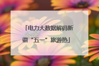 电力大数据解码新疆“五一”旅游热