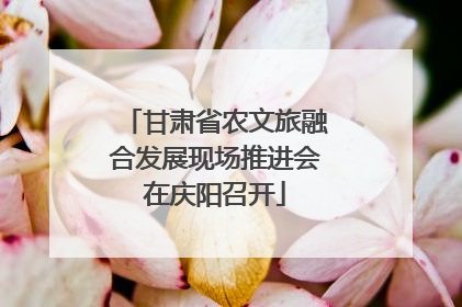 甘肃省农文旅融合发展现场推进会在庆阳召开