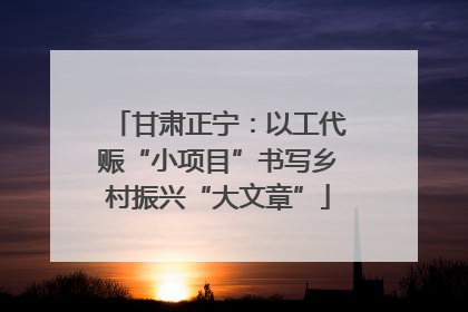 甘肃正宁：以工代赈“小项目”书写乡村振兴“大文章”