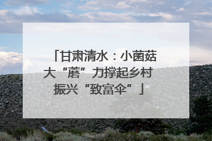 甘肃清水：小菌菇大“蘑”力撑起乡村振兴“致富伞”
