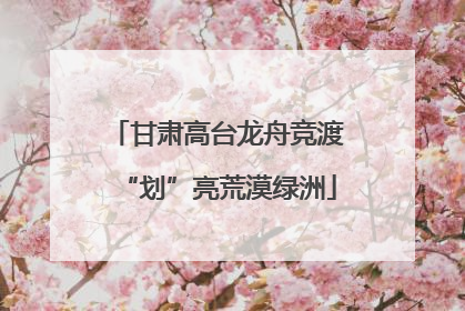 甘肃高台龙舟竞渡“划”亮荒漠绿洲