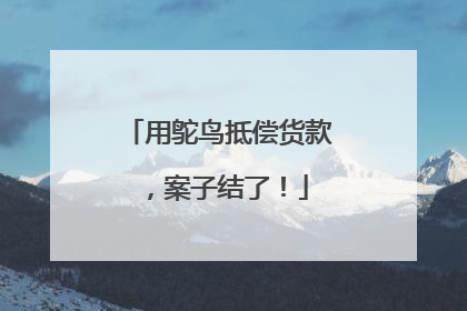 用鸵鸟抵偿货款，案子结了！