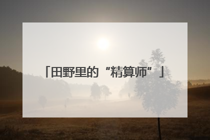 田野里的“精算师”