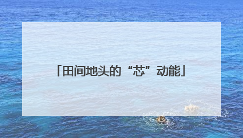 田间地头的“芯”动能