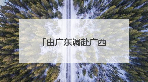 由广东调赴广西两年多后，“85后”张东方当选苍梧县县长