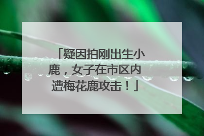 疑因拍刚出生小鹿，女子在市区内遭梅花鹿攻击！