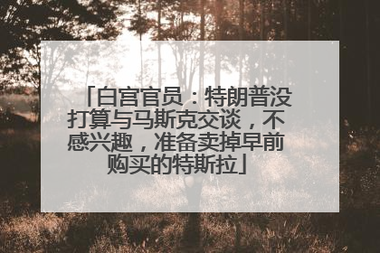 白宫官员：特朗普没打算与马斯克交谈，不感兴趣，准备卖掉早前购买的特斯拉