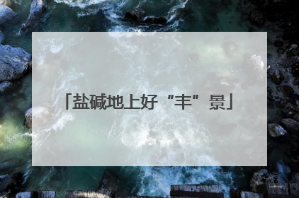 盐碱地上好“丰”景