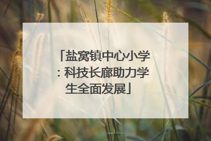 盐窝镇中心小学：科技长廊助力学生全面发展