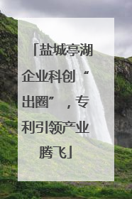 盐城亭湖企业科创“出圈”，专利引领产业腾飞