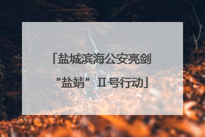 盐城滨海公安亮剑“盐靖”Ⅱ号行动