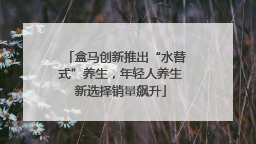 盒马创新推出“水替式”养生，年轻人养生新选择销量飙升