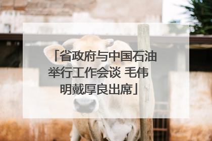 省政府与中国石油举行工作会谈 毛伟明戴厚良出席