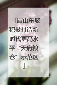 眉山东坡积极打造新时代更高水平“天府粮仓”示范区