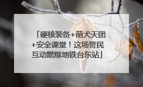 硬核装备+萌犬天团+安全课堂！这场警民互动燃爆地铁台东站