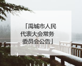禹城市人民代表大会常务委员会公告