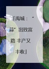 禹城：“蒜”出致富路 丰产又丰收