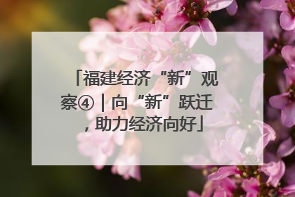 福建经济“新”观察④｜向“新”跃迁，助力经济向好