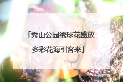 秀山公园绣球花盛放 多彩花海引客来