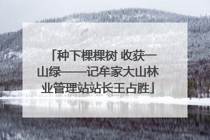 种下棵棵树 收获一山绿——记牟家大山林业管理站站长王占胜