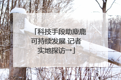 科技手段助麋鹿可持续发展 记者实地探访→