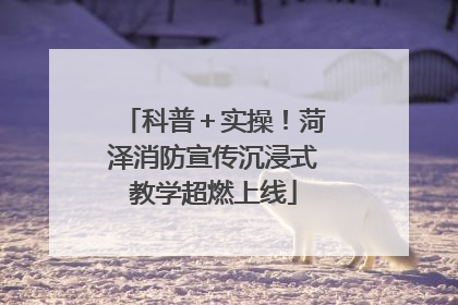 科普＋实操！菏泽消防宣传沉浸式教学超燃上线