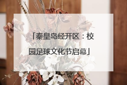 秦皇岛经开区：校园足球文化节启幕