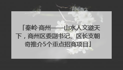 秦岭·商州——山水人文邀天下，商州区委副书记、区长支朝奇推介5个重点招商项目