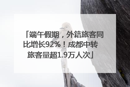端午假期，外籍旅客同比增长92%！成都中转旅客量超1.9万人次
