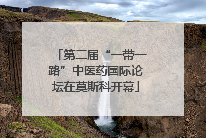 第二届“一带一路”中医药国际论坛在莫斯科开幕