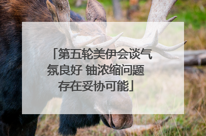 第五轮美伊会谈气氛良好 铀浓缩问题存在妥协可能
