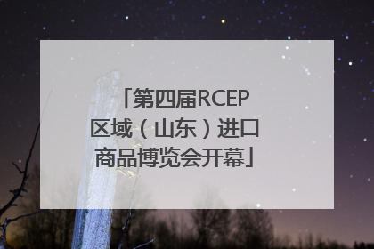 第四届RCEP区域（山东）进口商品博览会开幕