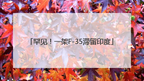 罕见！一架F-35滞留印度