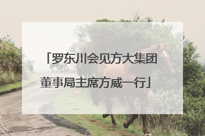 罗东川会见方大集团董事局主席方威一行