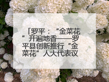 罗平：“金菜花”开遍地香——罗平县创新推行“金菜花”人大代表议事会履职行动